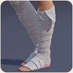 Shin Bandages for Dawn Image