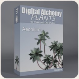 Digital Alchemy: Aeonium Image