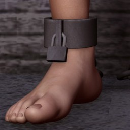 Ankle Shackles for M4 Image