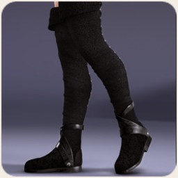 Thigh High Boots for V4 Image